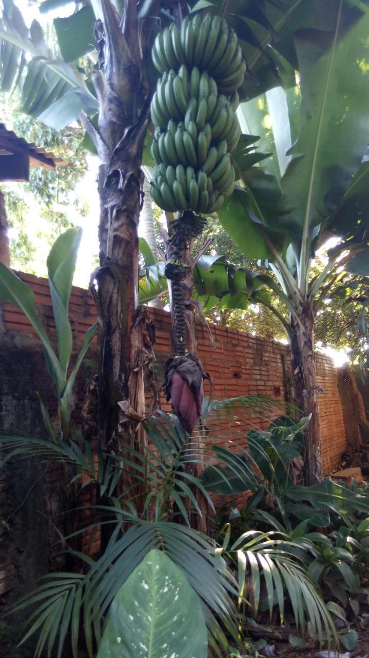 Апартаменты Posada Maria Iguazu Пуэрто-Игуасу Экстерьер фото