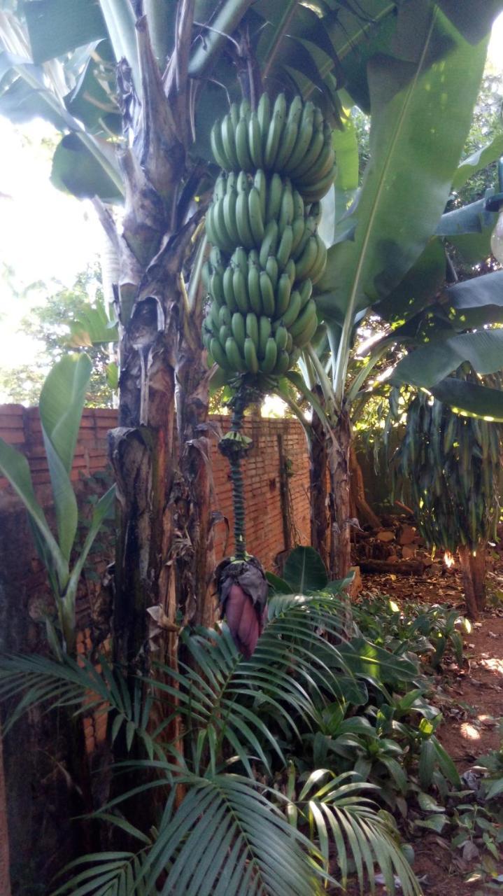 Апартаменты Posada Maria Iguazu Пуэрто-Игуасу Экстерьер фото